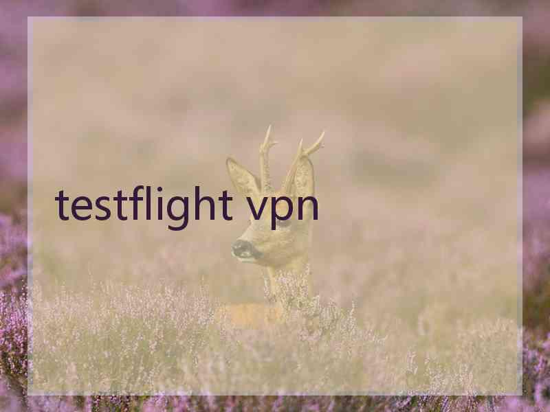 testflight vpn