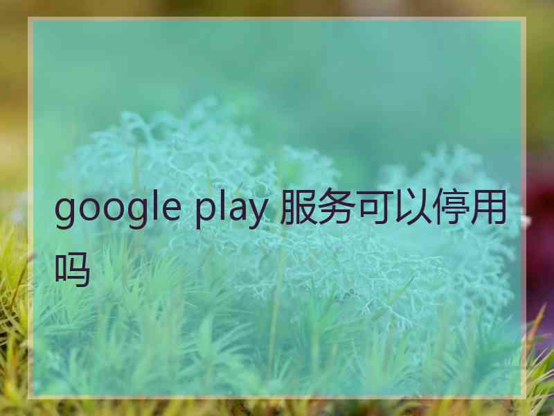 google play 服务可以停用吗