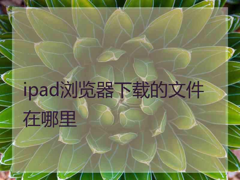 ipad浏览器下载的文件在哪里