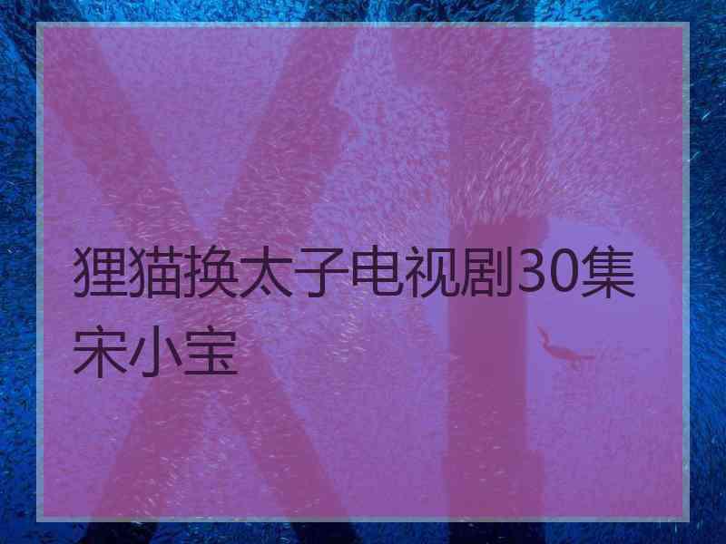 狸猫换太子电视剧30集宋小宝