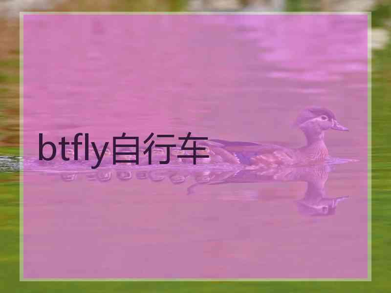 btfly自行车