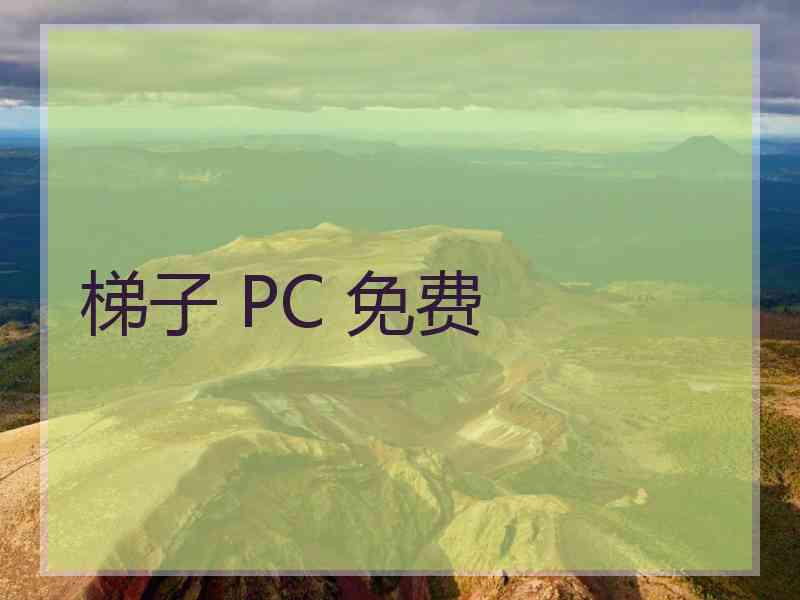 梯子 PC 免费