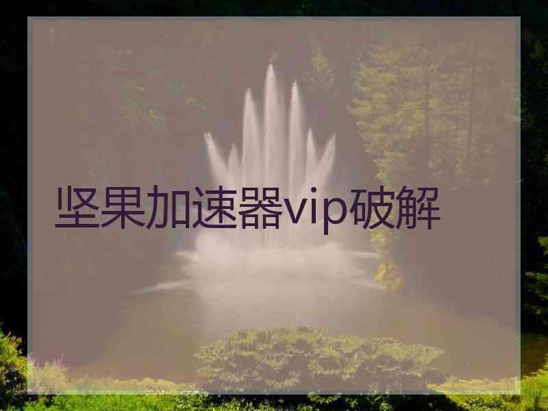 坚果加速器vip破解