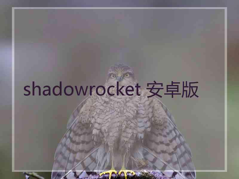 shadowrocket 安卓版