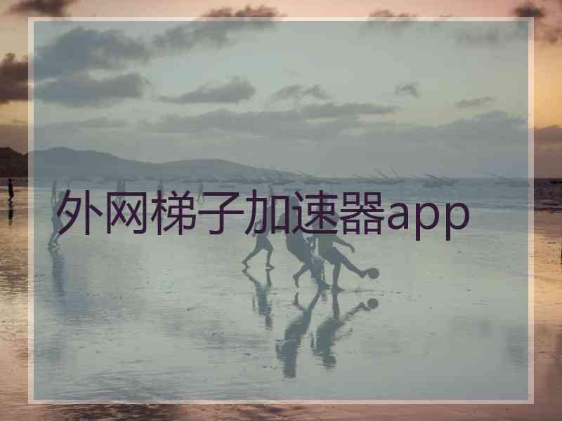 外网梯子加速器app