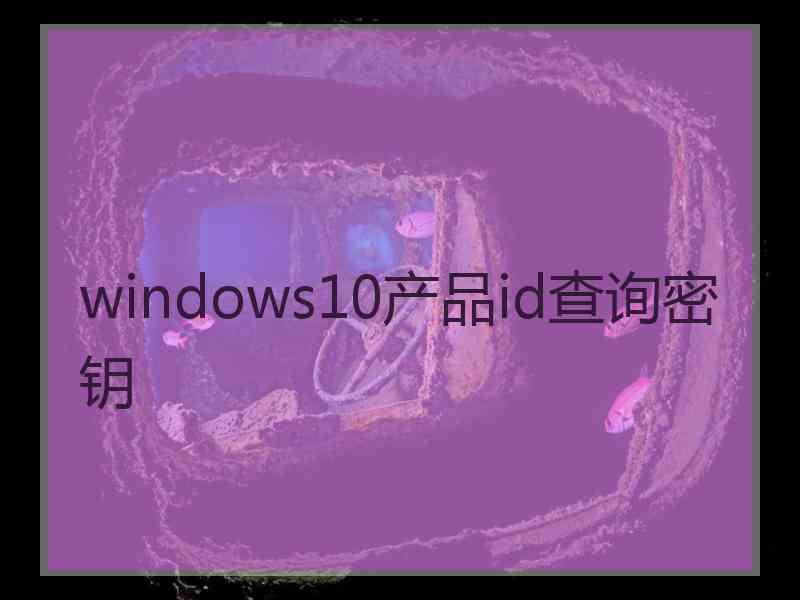 windows10产品id查询密钥