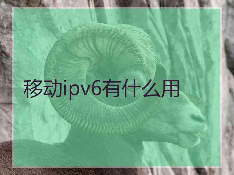 移动ipv6有什么用