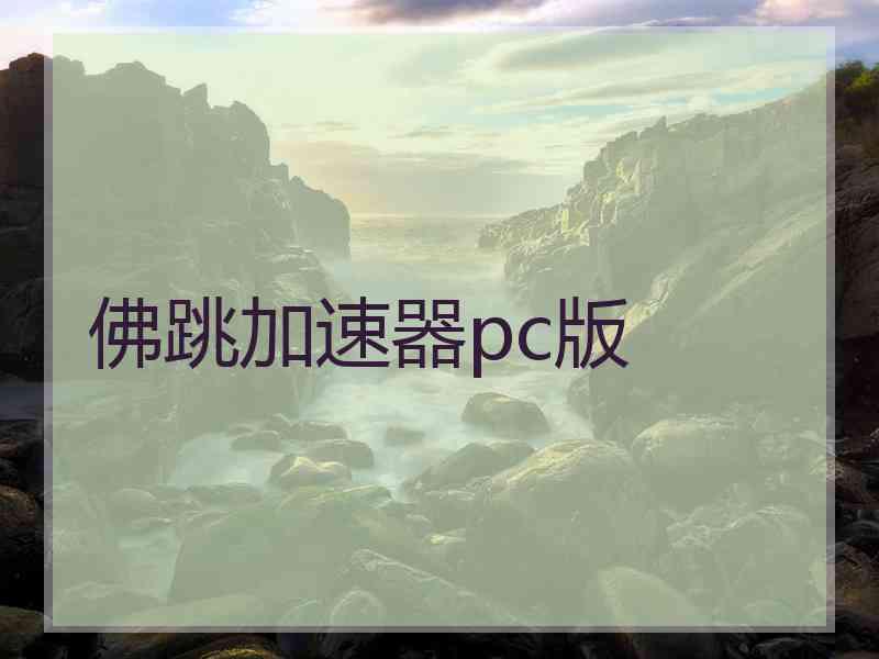 佛跳加速器pc版