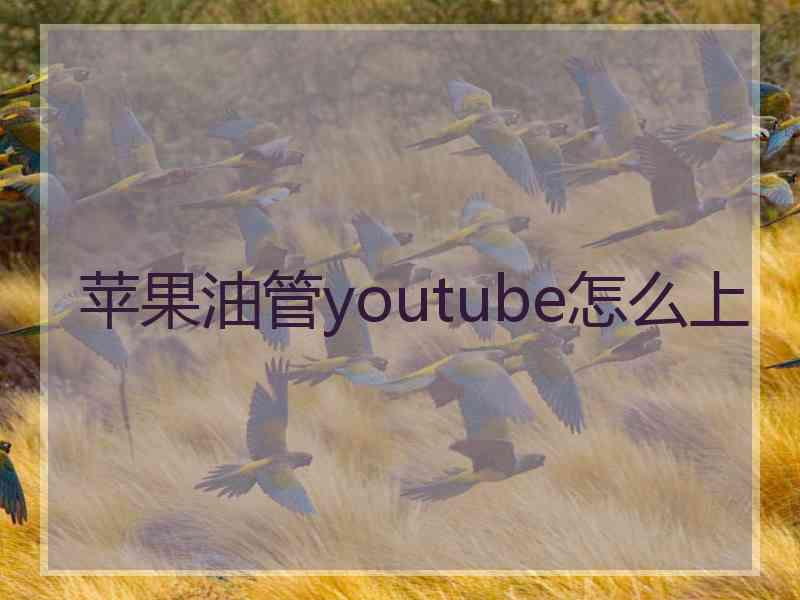 苹果油管youtube怎么上