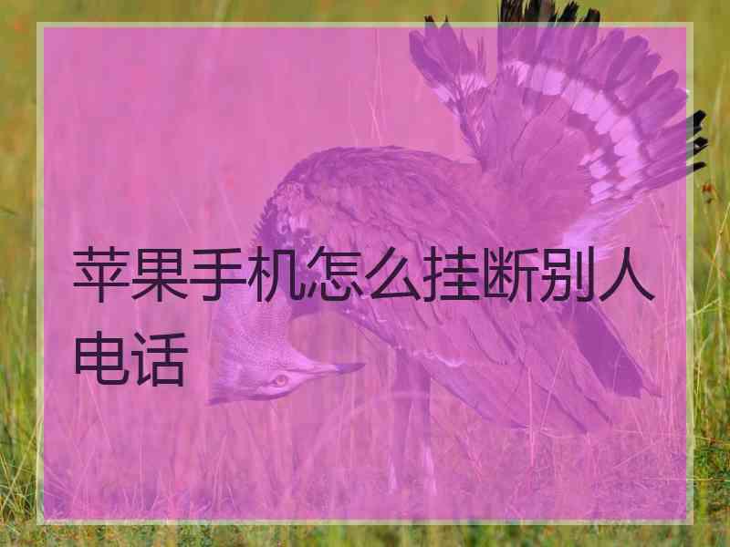 苹果手机怎么挂断别人电话