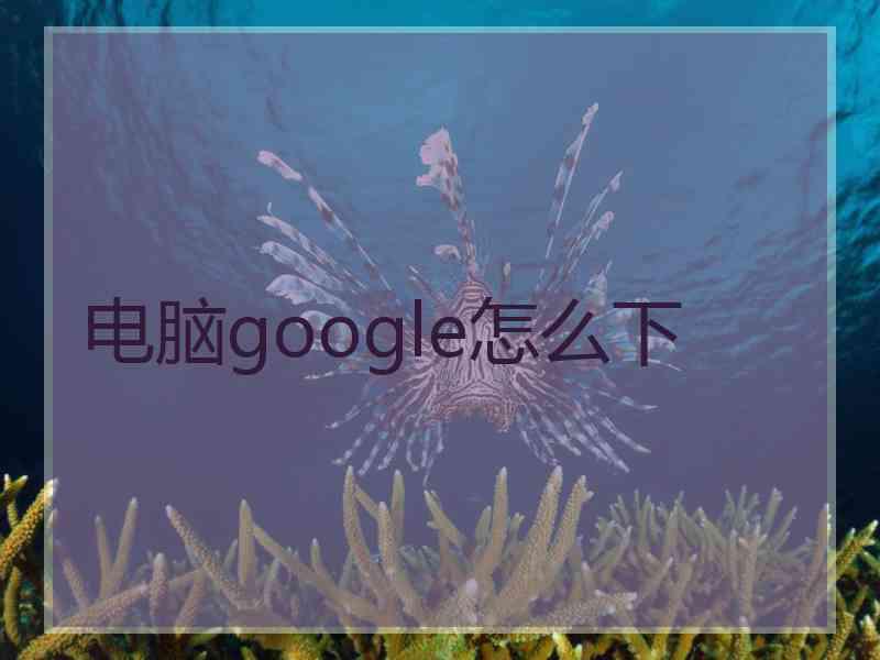 电脑google怎么下