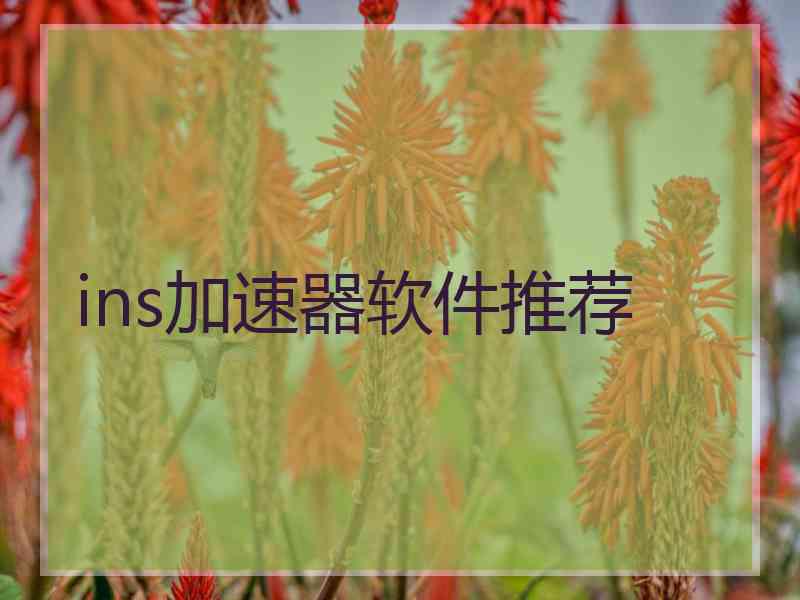 ins加速器软件推荐