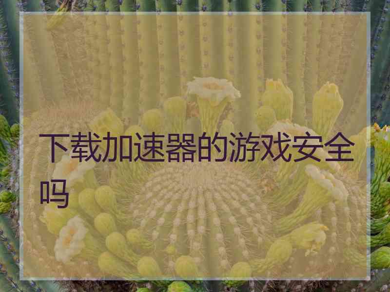 下载加速器的游戏安全吗