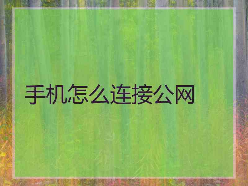 手机怎么连接公网