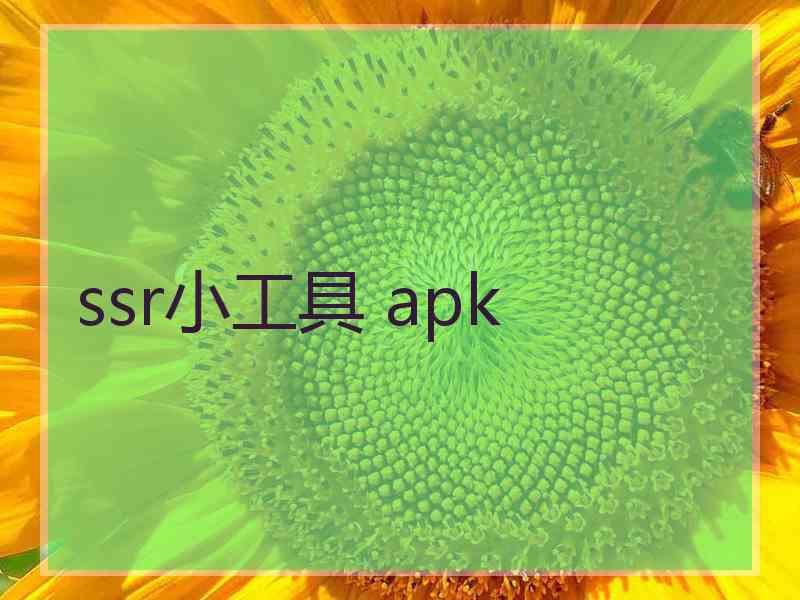 ssr小工具 apk