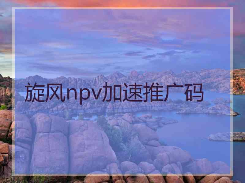 旋风npv加速推广码