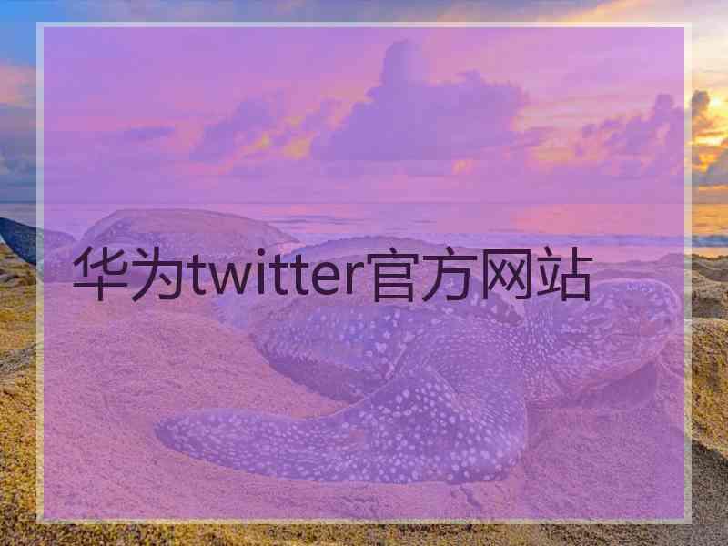 华为twitter官方网站