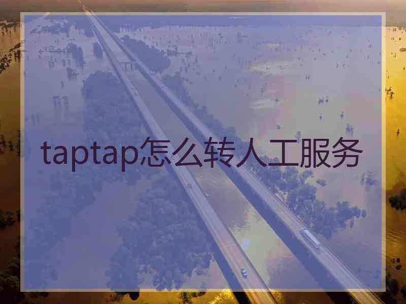 taptap怎么转人工服务