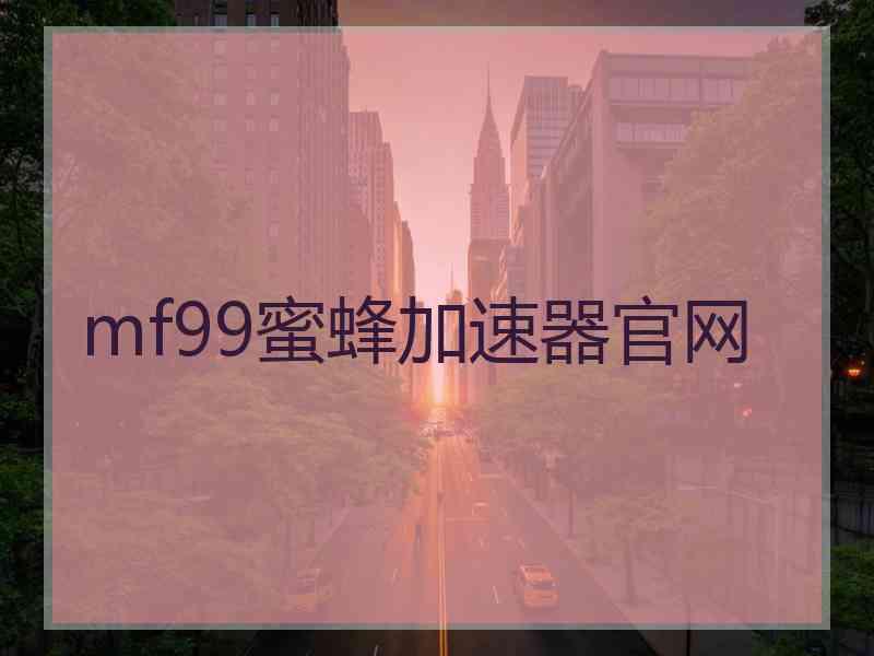 mf99蜜蜂加速器官网