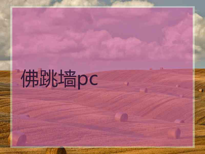 佛跳墙pc