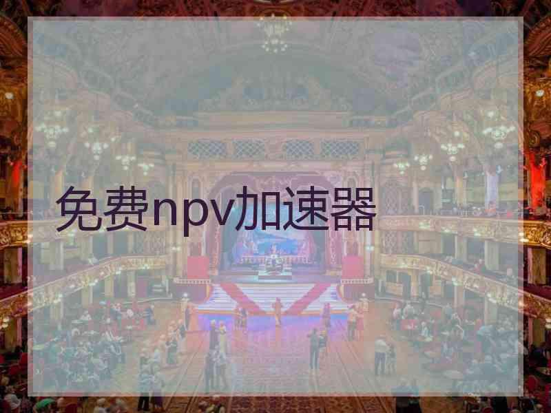 免费npv加速器