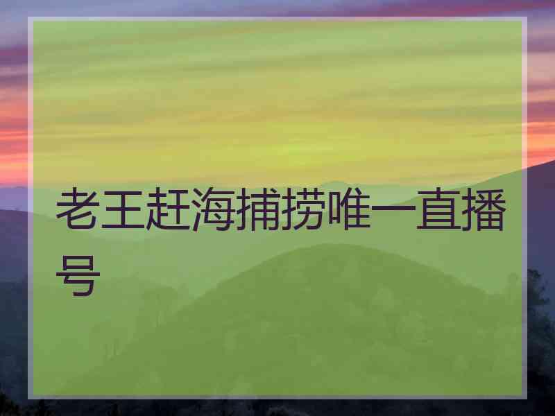 老王赶海捕捞唯一直播号