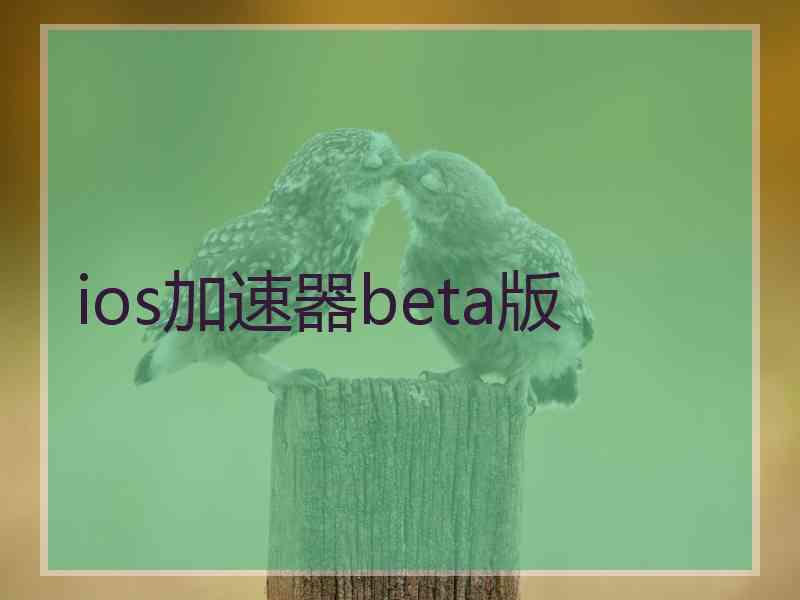 ios加速器beta版