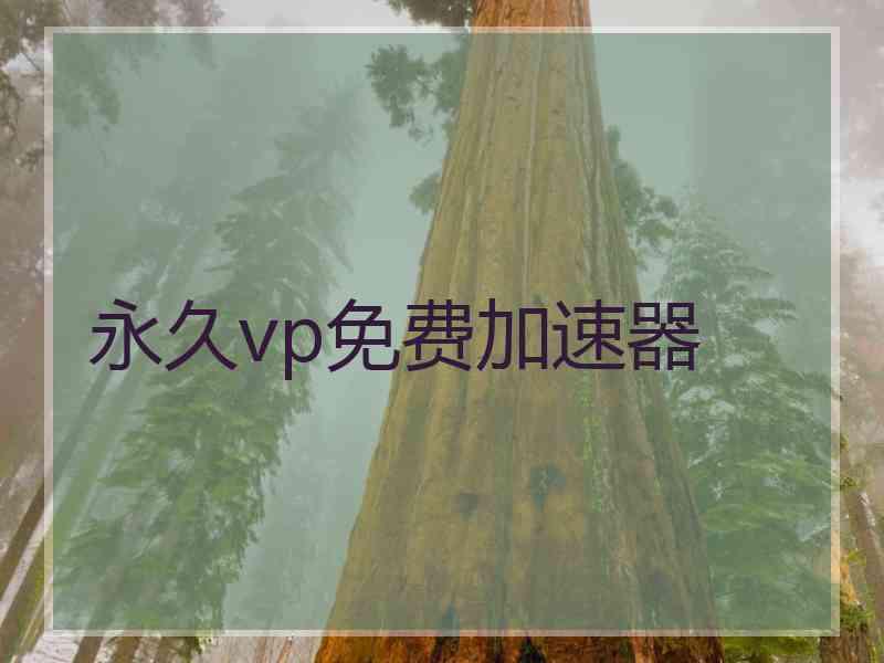 永久vp免费加速器