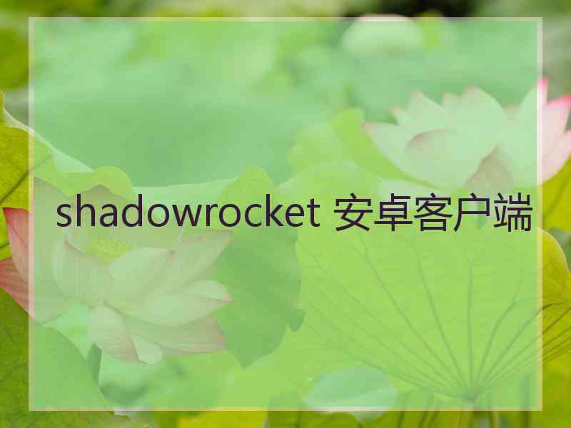 shadowrocket 安卓客户端