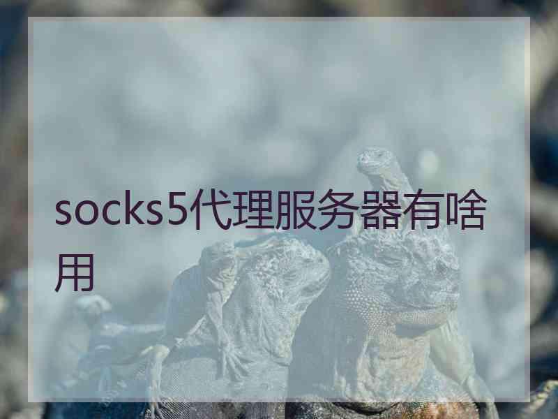 socks5代理服务器有啥用