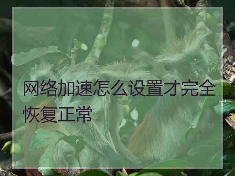 网络加速怎么设置才完全恢复正常