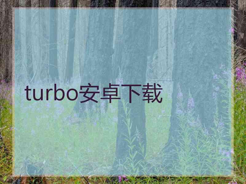 turbo安卓下载