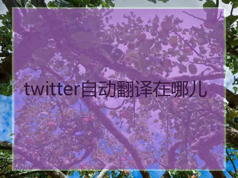 twitter自动翻译在哪儿