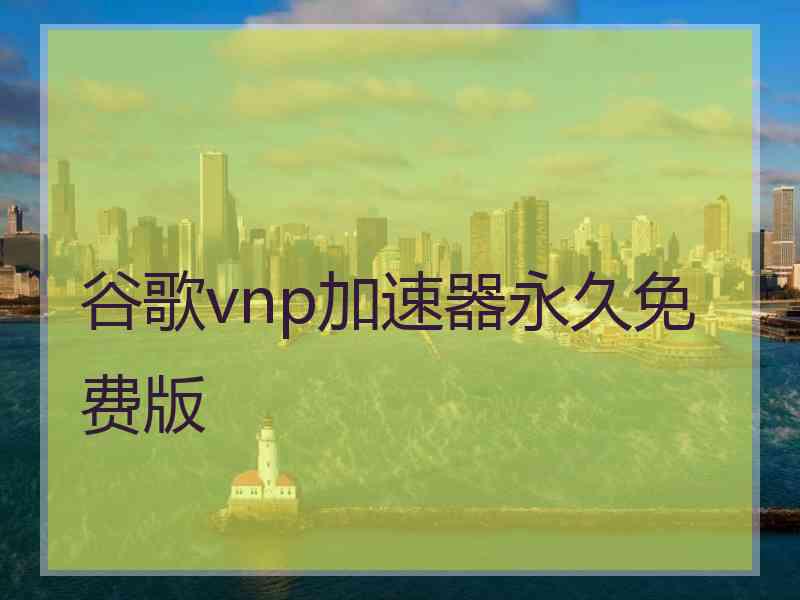 谷歌vnp加速器永久免费版