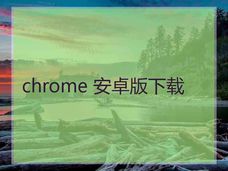 chrome 安卓版下载