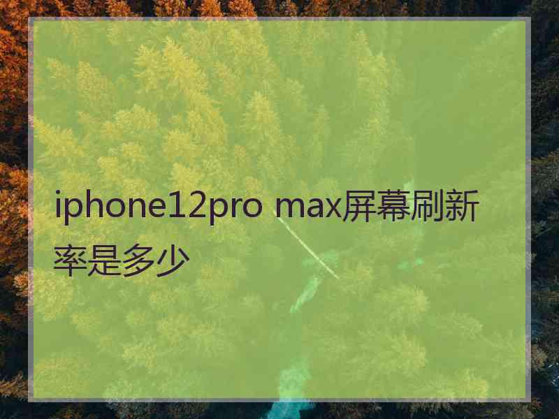 iphone12pro max屏幕刷新率是多少