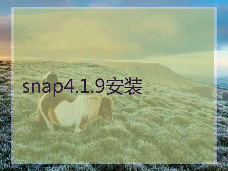 snap4.1.9安装