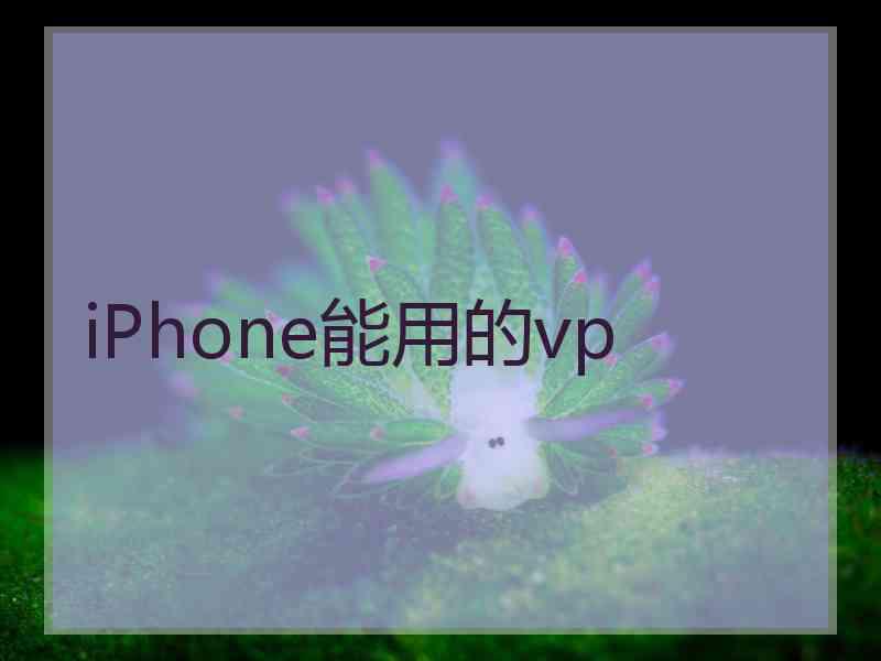 iPhone能用的vp