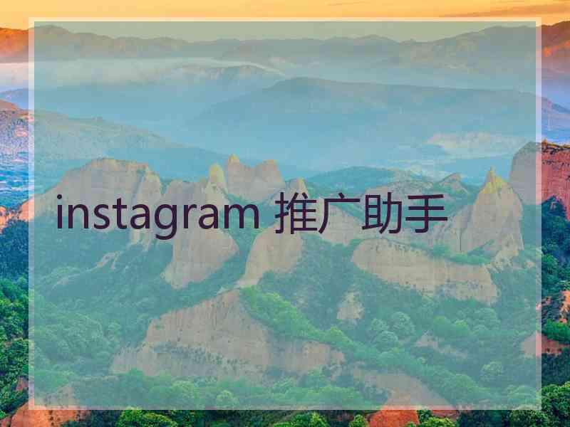 instagram 推广助手