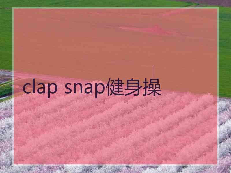 clap snap健身操