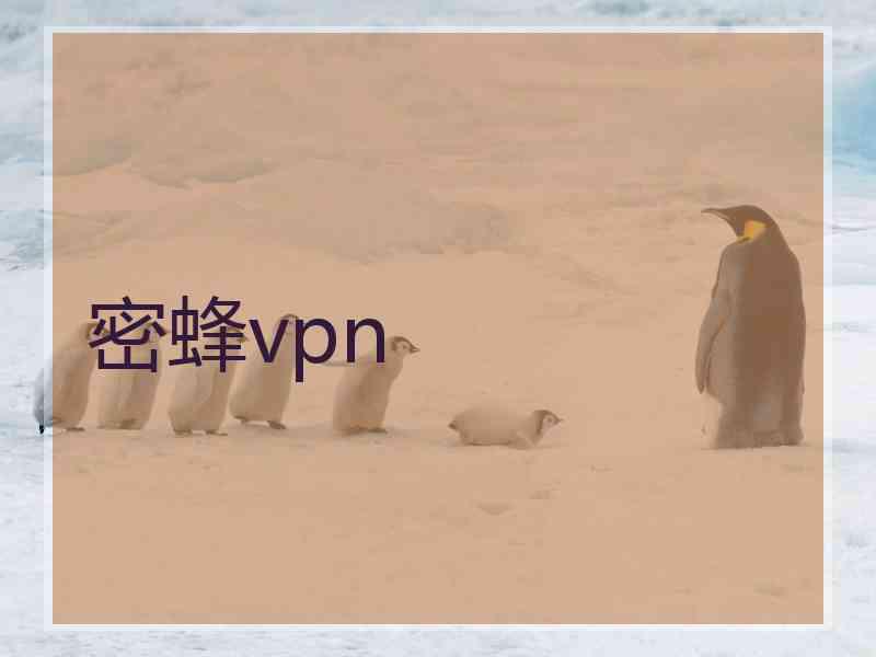 密蜂vpn