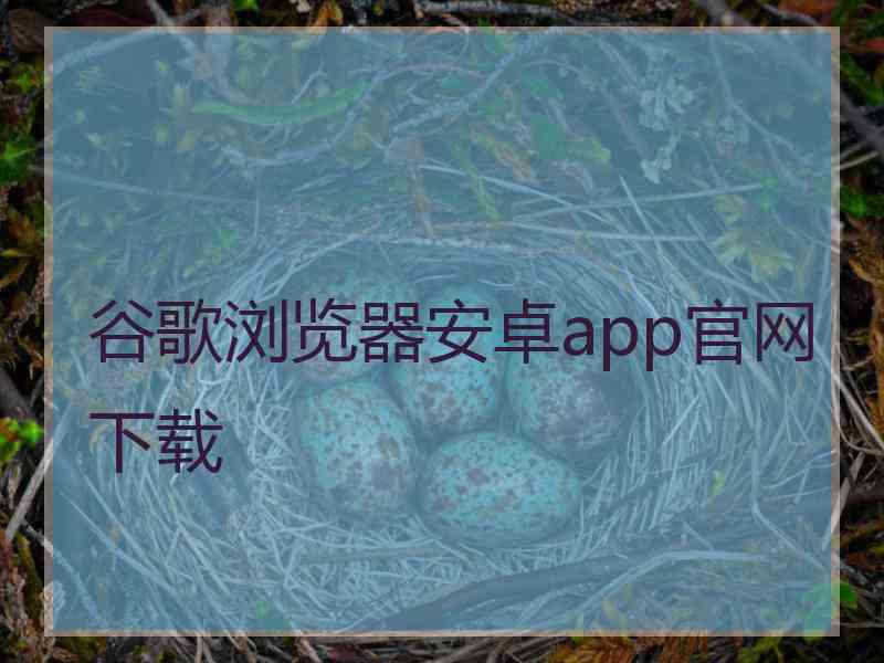 谷歌浏览器安卓app官网下载