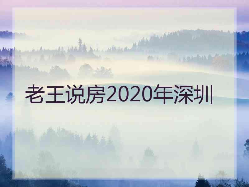 老王说房2020年深圳