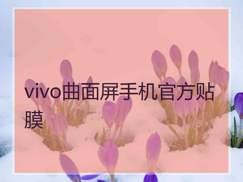 vivo曲面屏手机官方贴膜