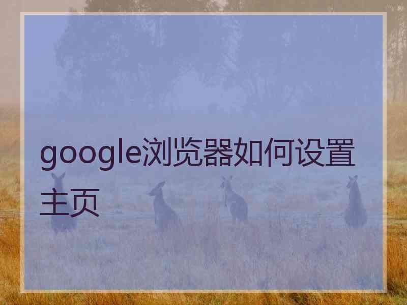 google浏览器如何设置主页