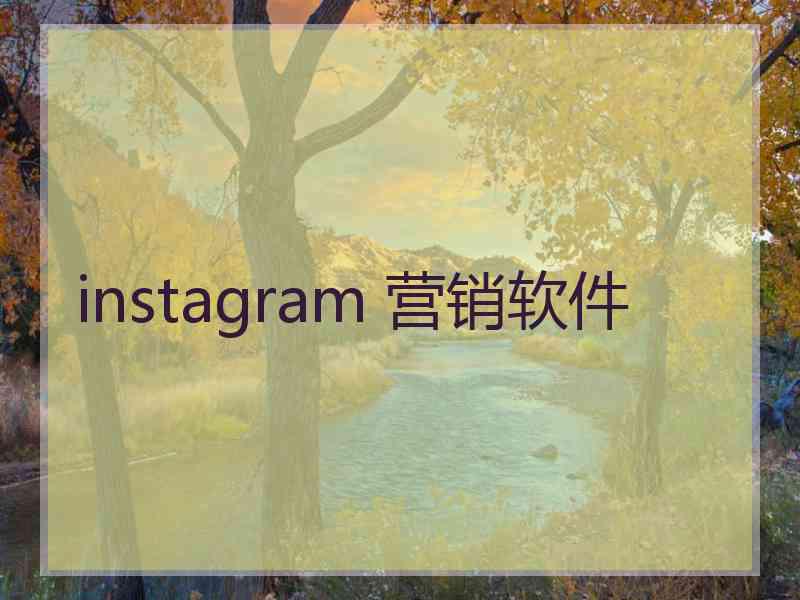 instagram 营销软件