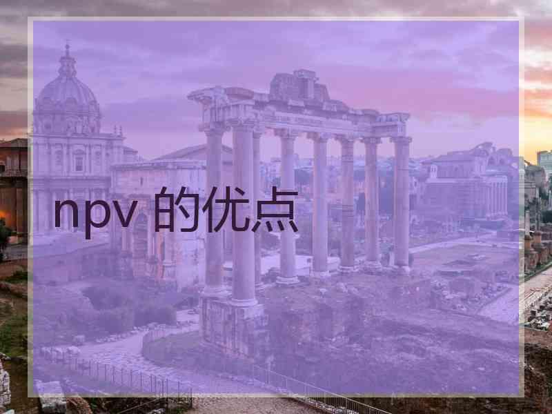 npv 的优点