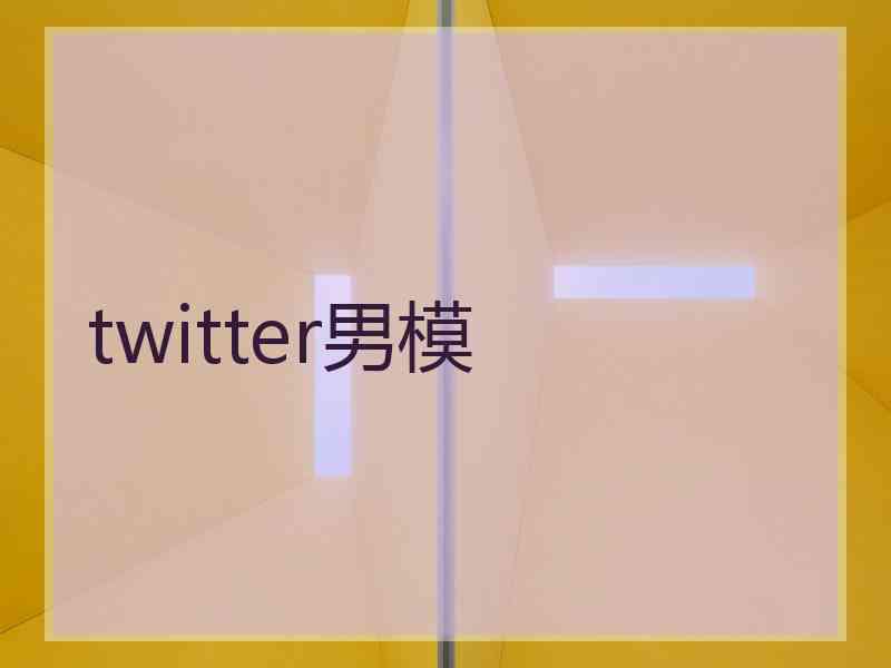 twitter男模