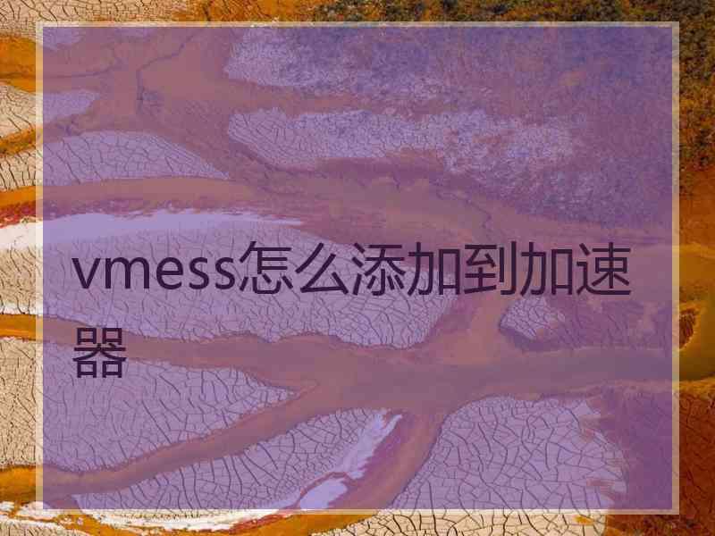 vmess怎么添加到加速器