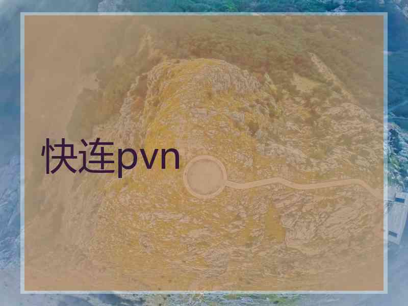 快连pvn